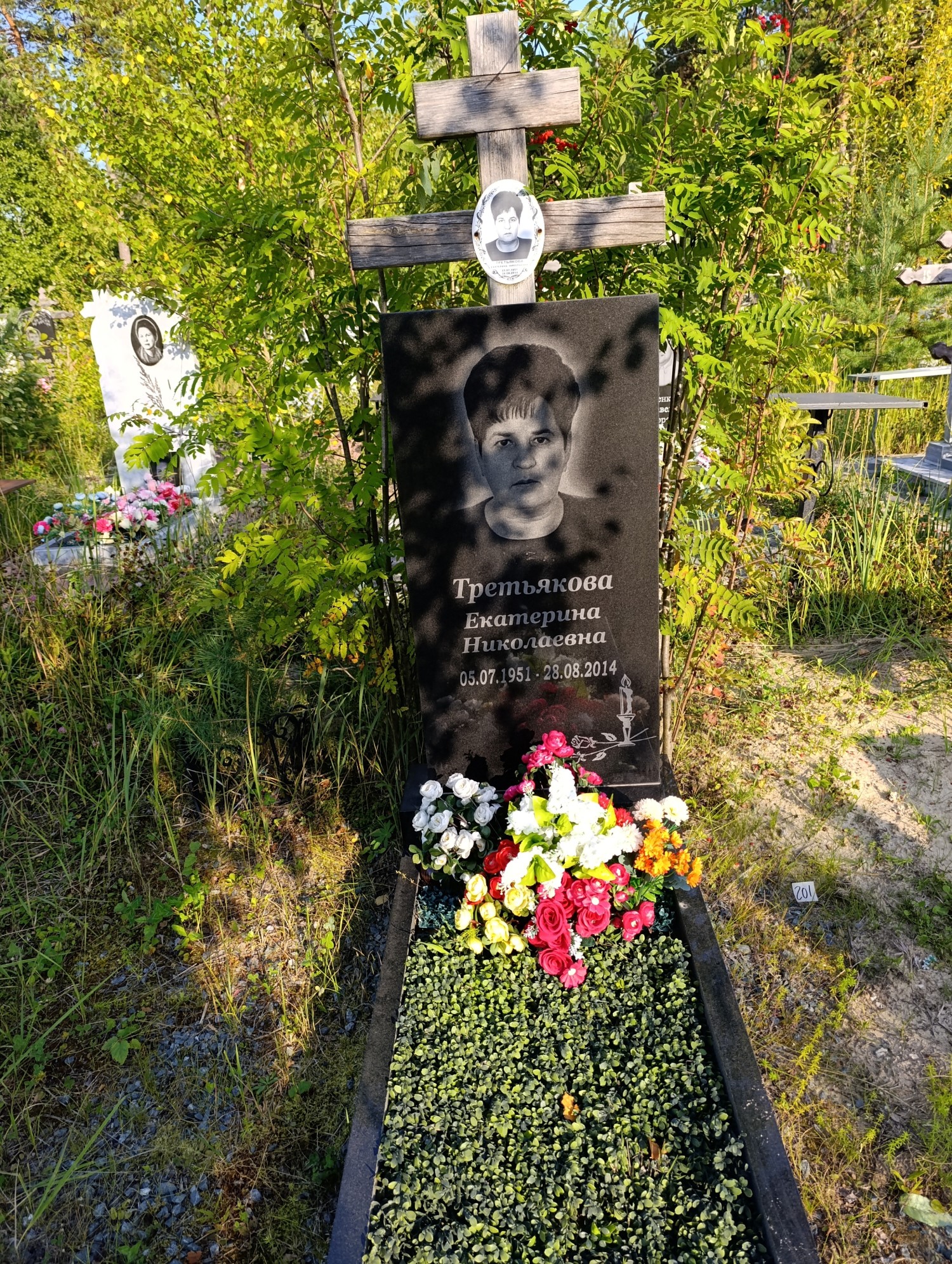 Тертьякова Екатерина Николаевна