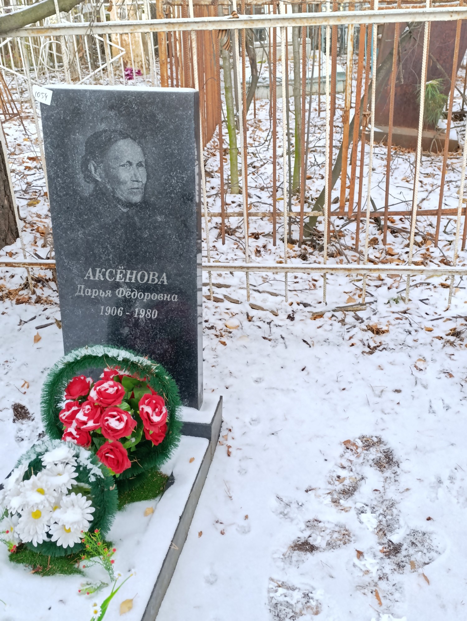 Аксёнова Дарья Фёдоровна