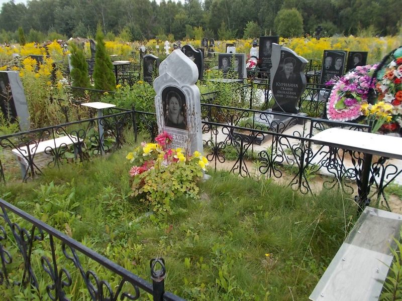 Шехова Софья Сергеевна