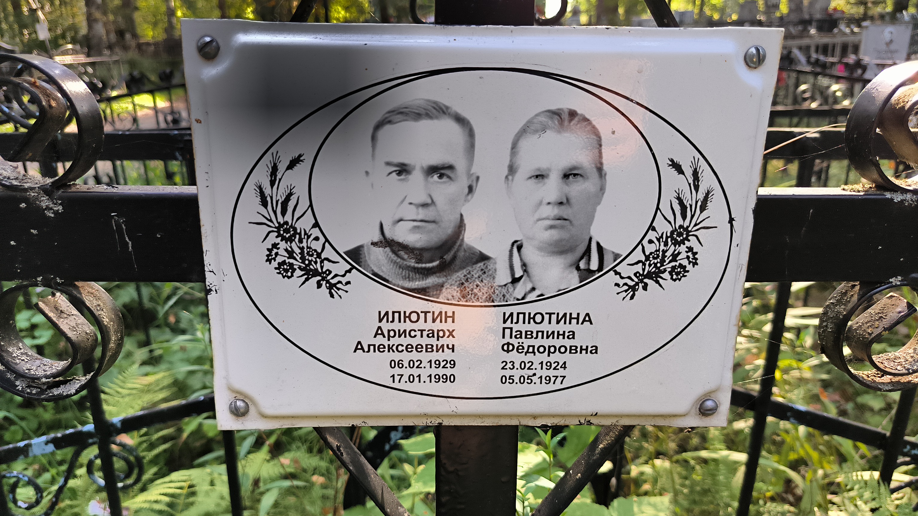 Илютина Павлина Фёдоровна