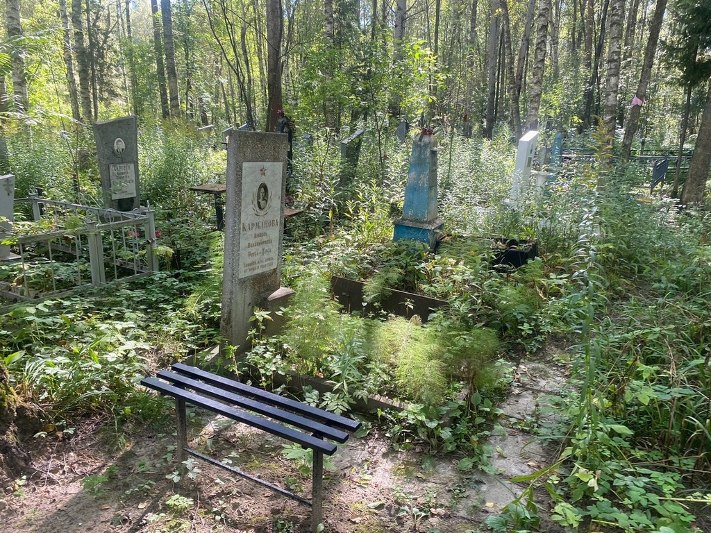 Карманова Любовь Владимировна