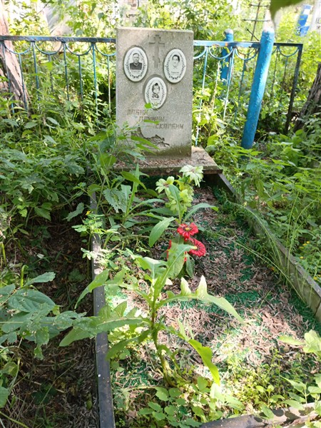 Радыгин Аркадий Яковлевич