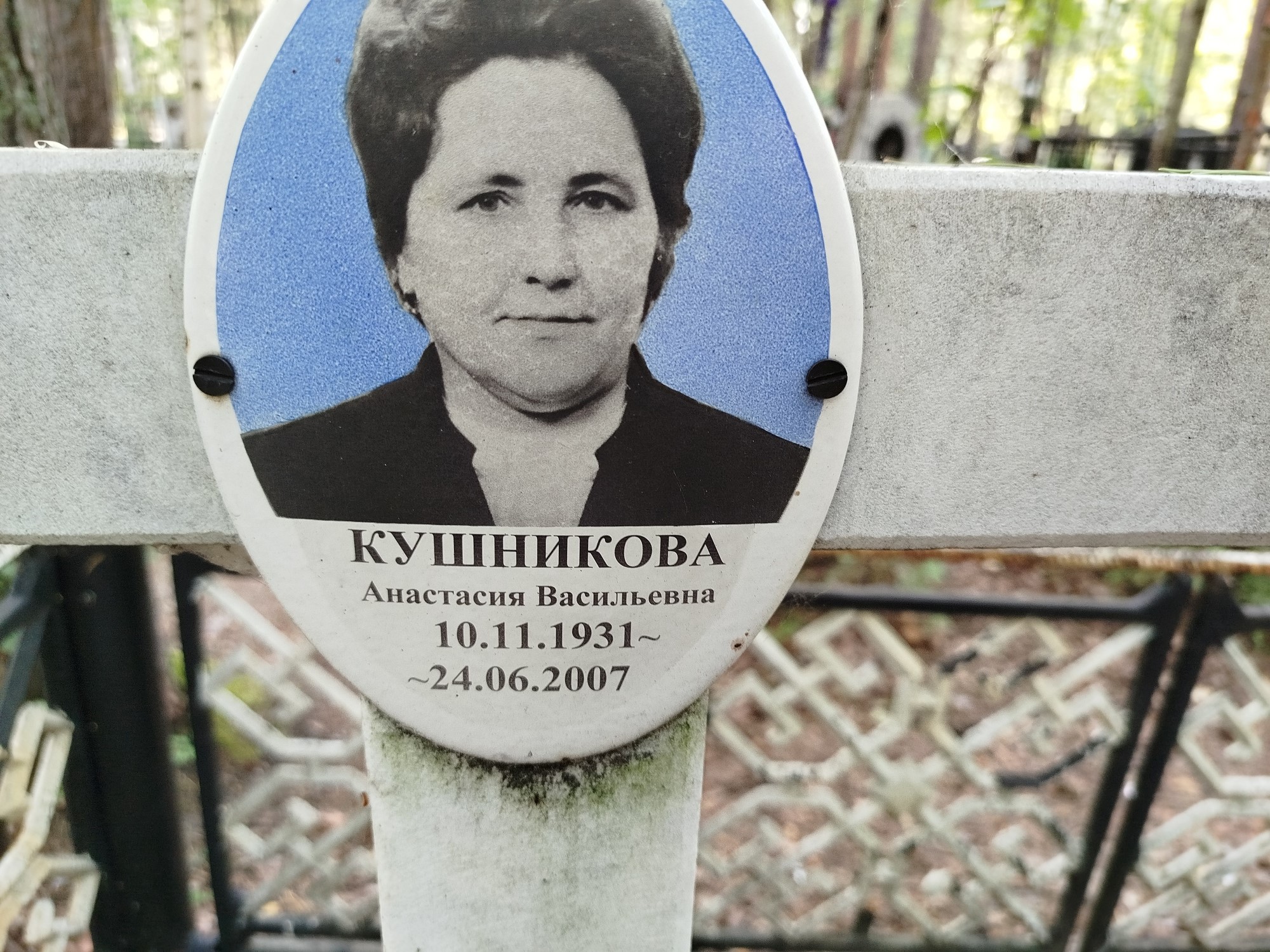 Кушникова Анастасия Васильевна