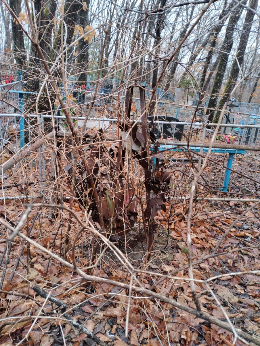 Умаров Виктор Иванович