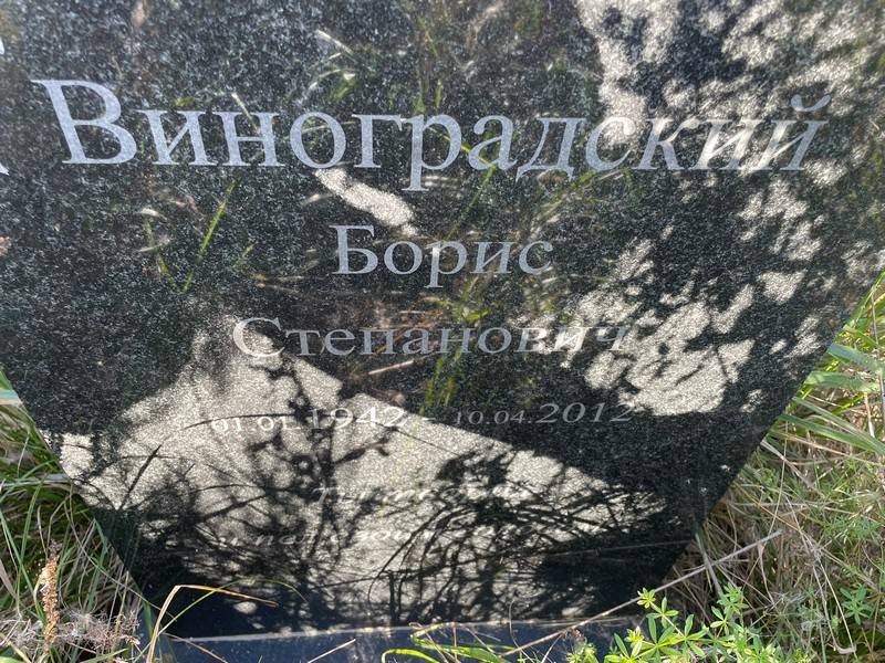 Виноградский