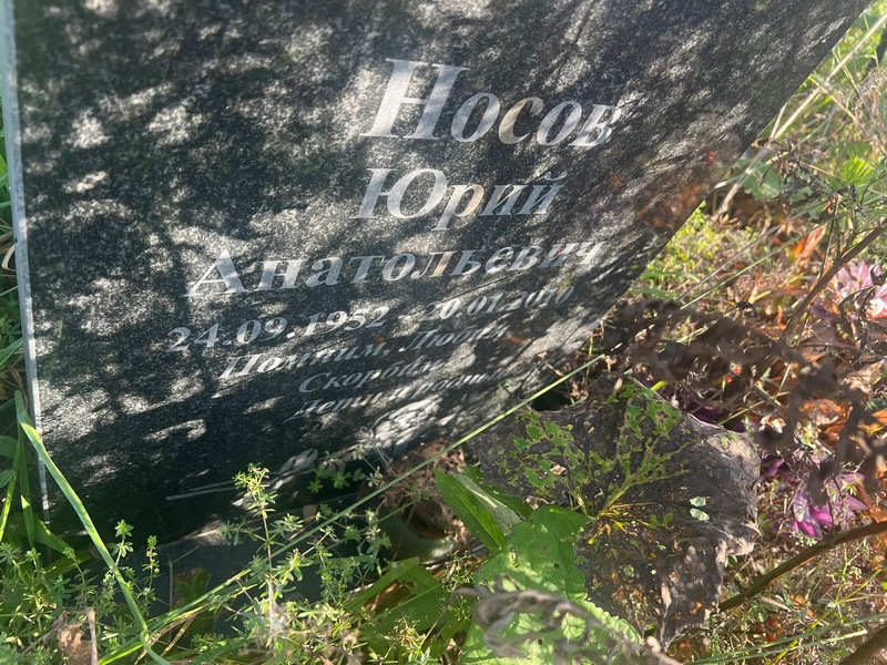 Носов