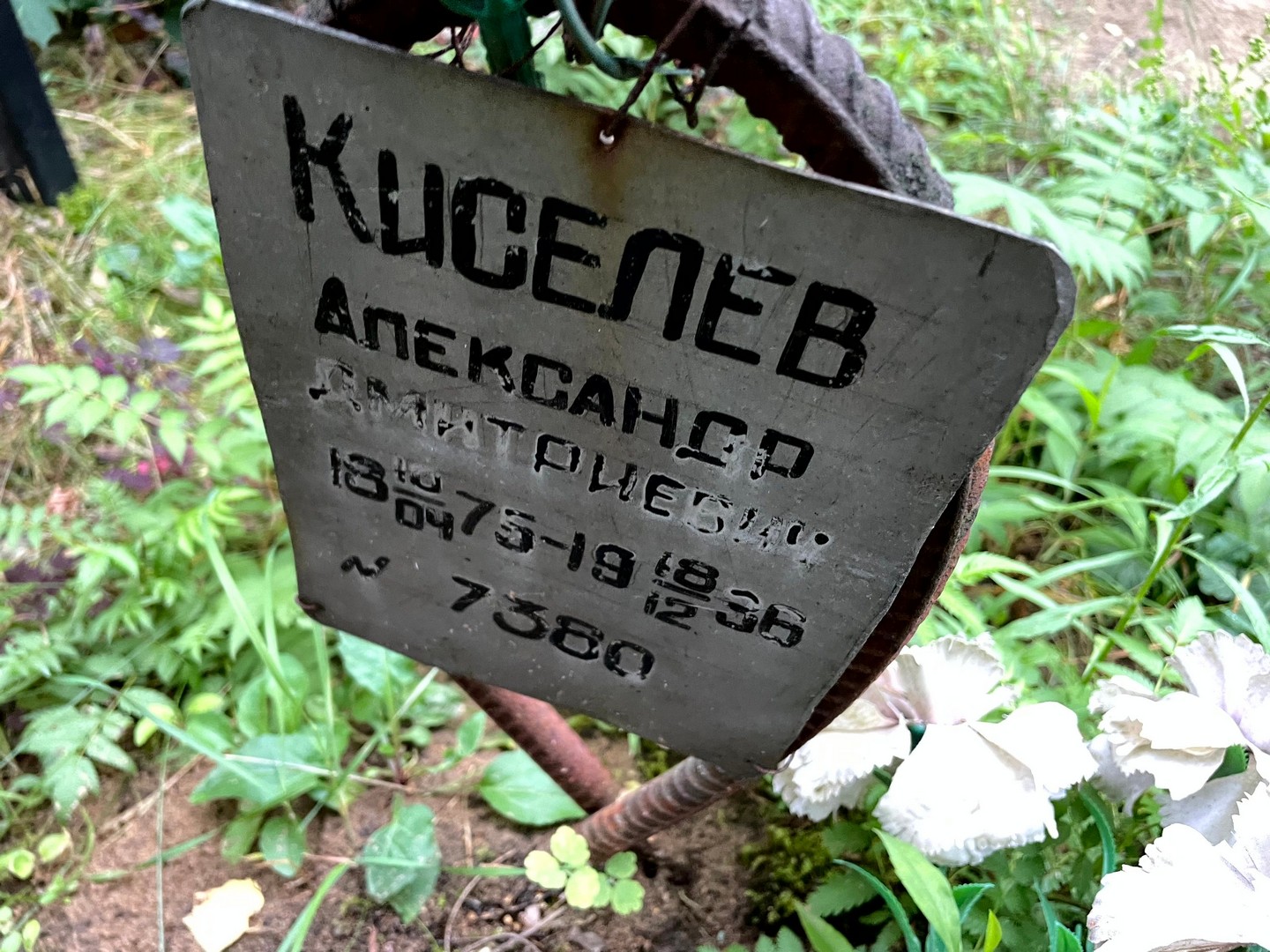 Киселев