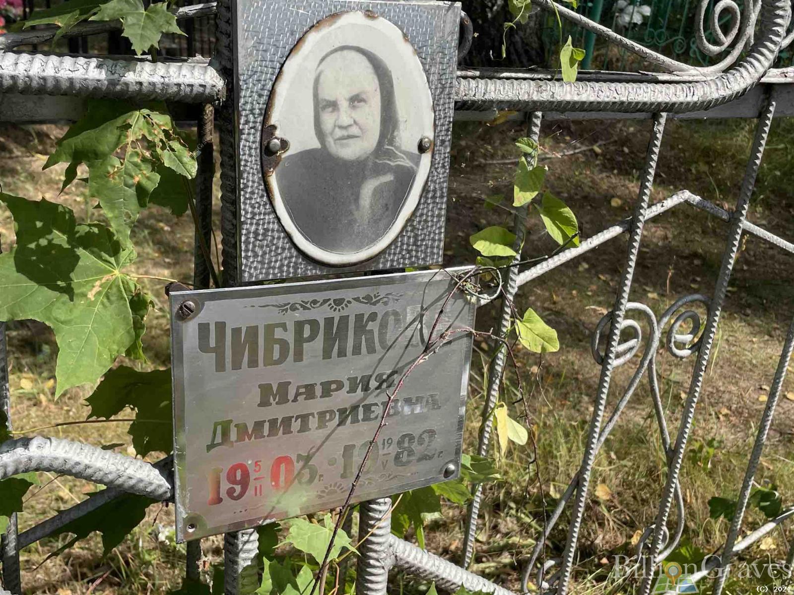 Чибрикова Мария Дмитриевна