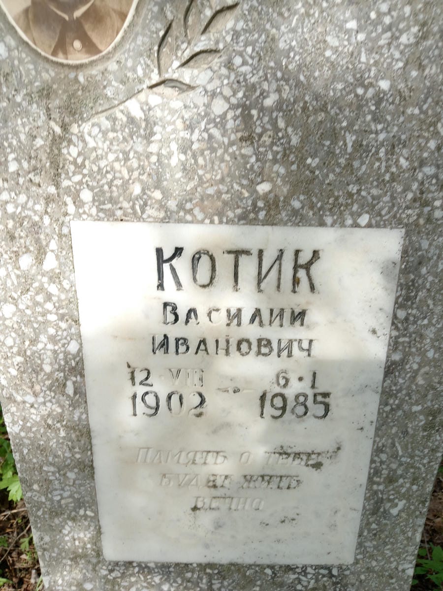 Котик Василий Иванович
