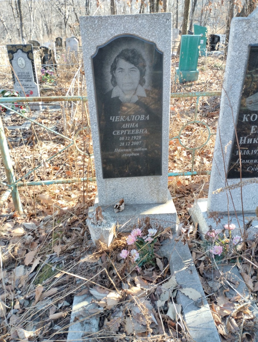 Чекалова Анна Сергеевна