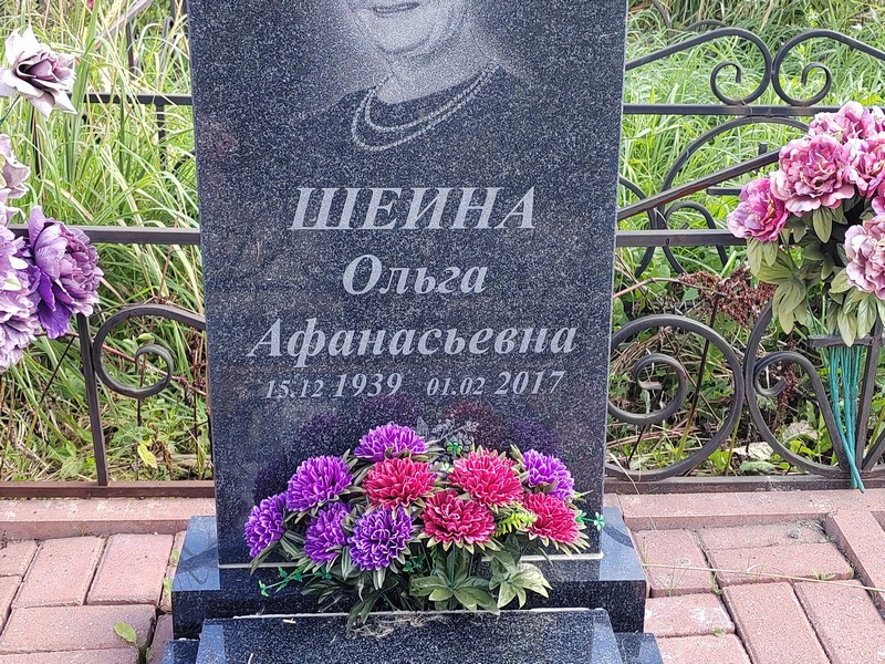 Шеина