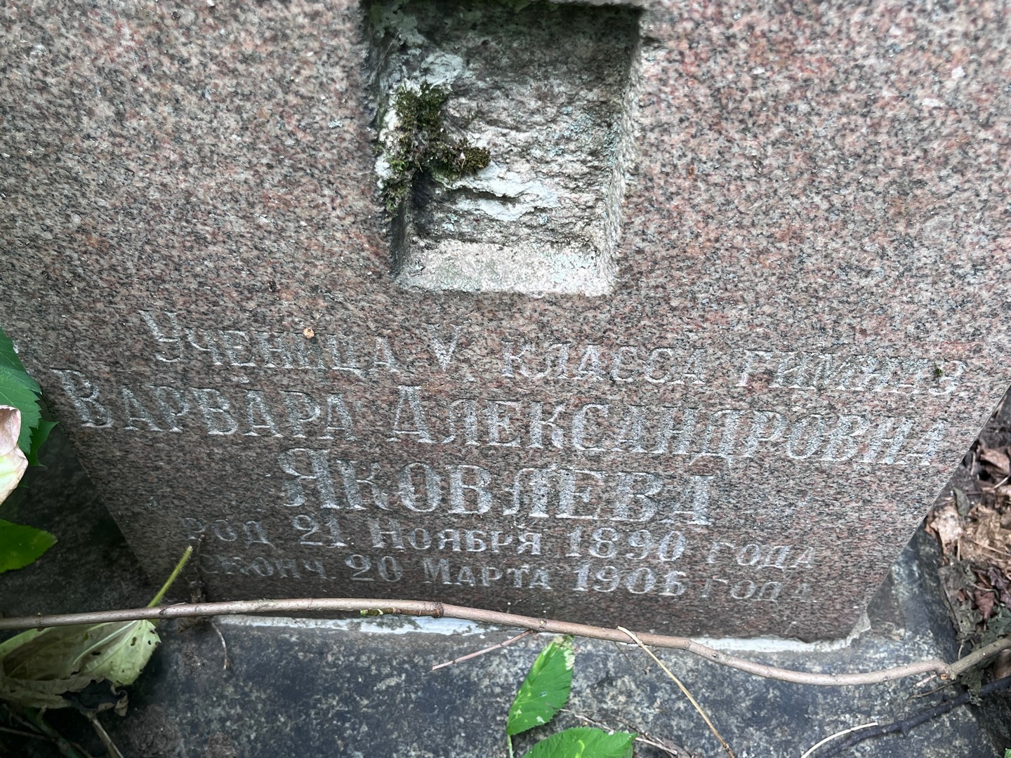 Яковлева Варвара Александровна