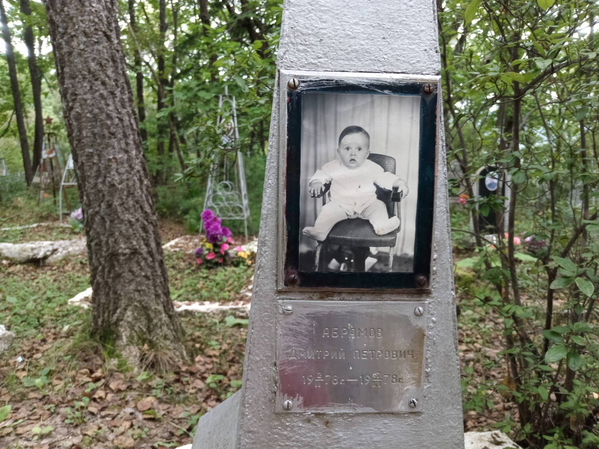 Абрамов Дмитрий Петрович