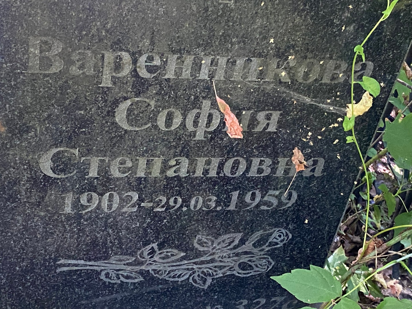 София Варенникова Степановна