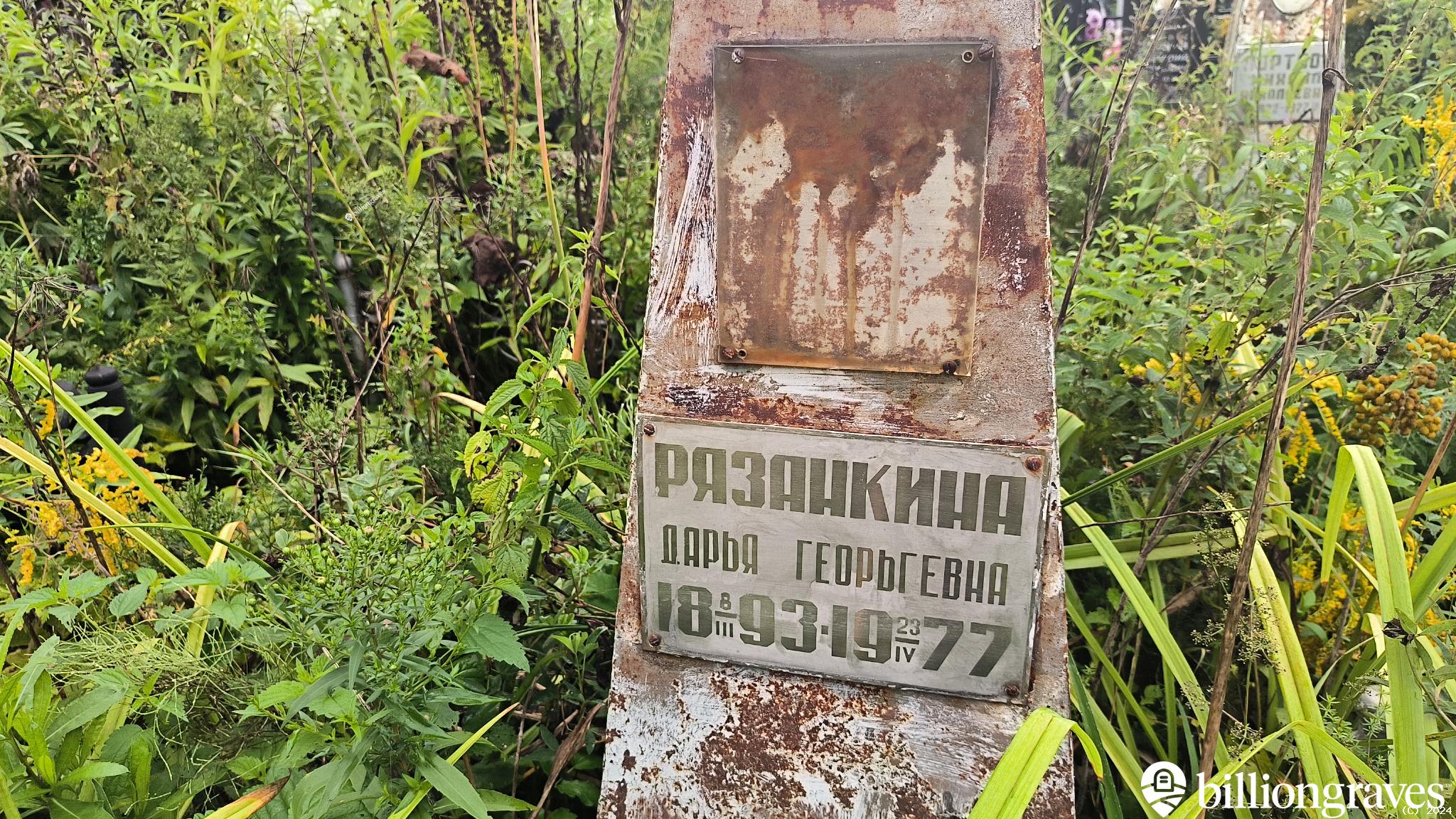 Рязанкина Дарья Георгьевна