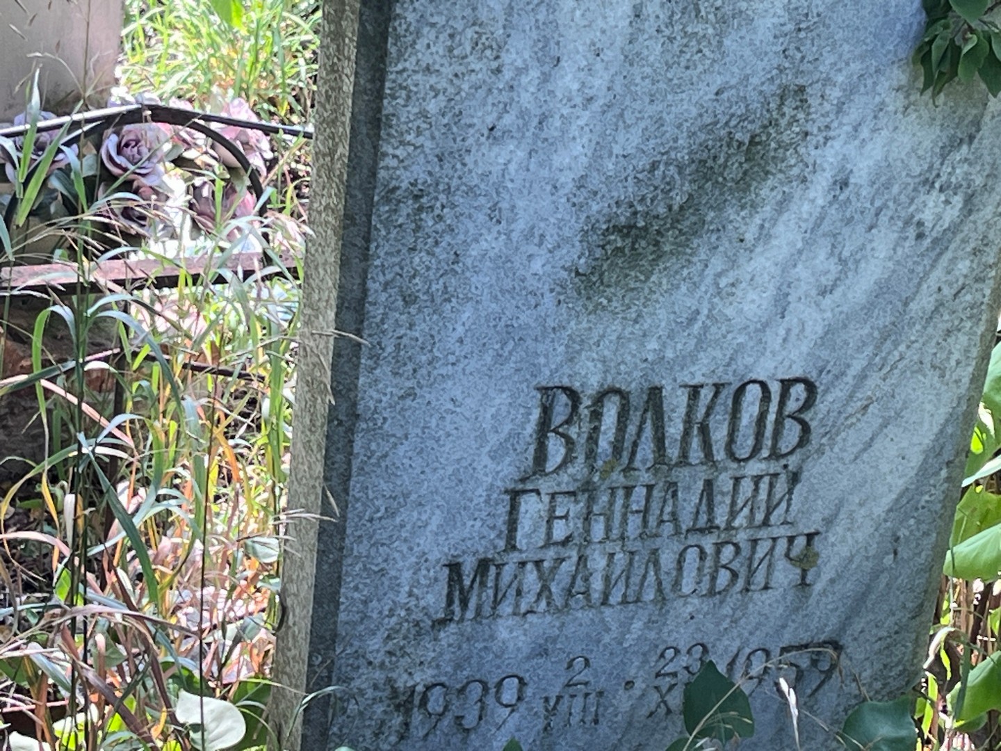 Волков