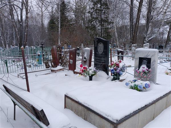 Чемакин Анатолий Николаевич