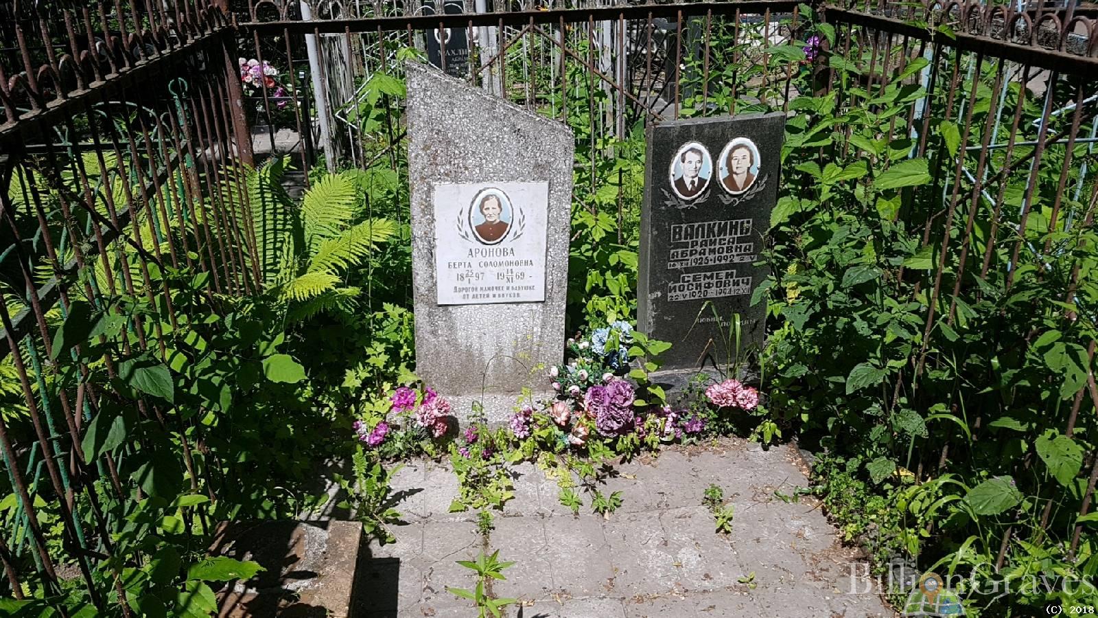 Валкина Раиса Абрамовна