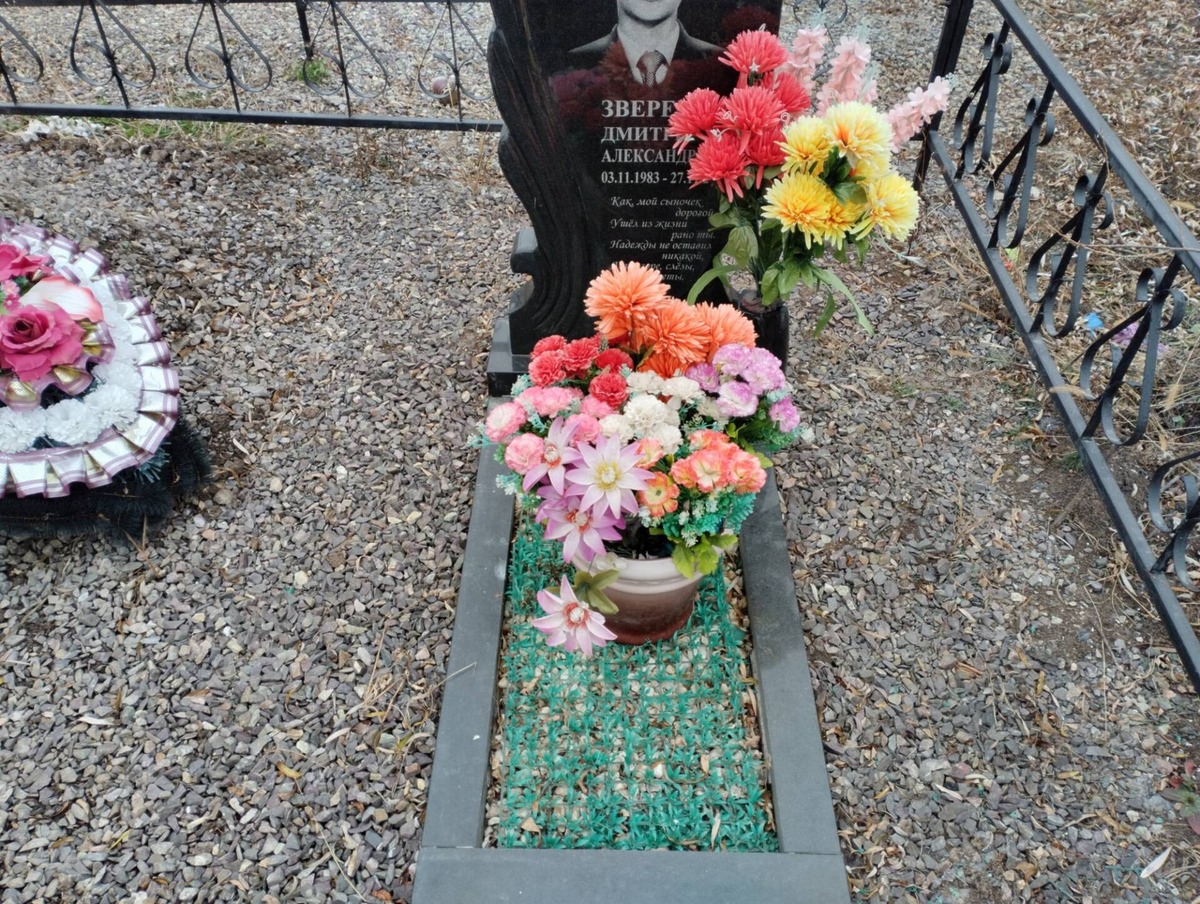 Зверев Дмитрий Александрович