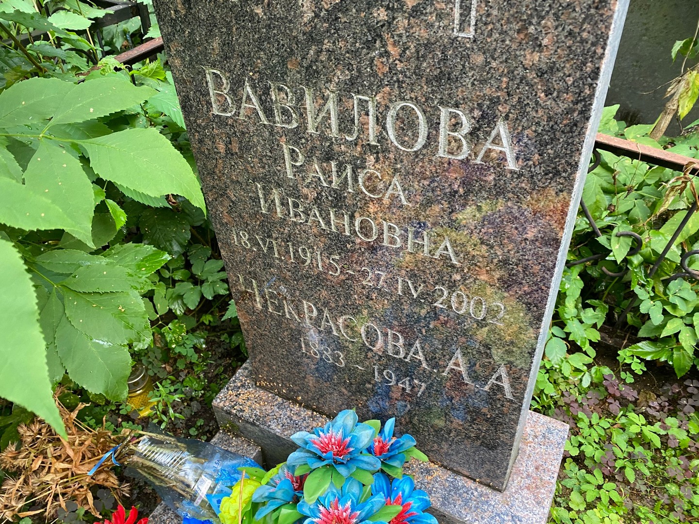 Вавилова