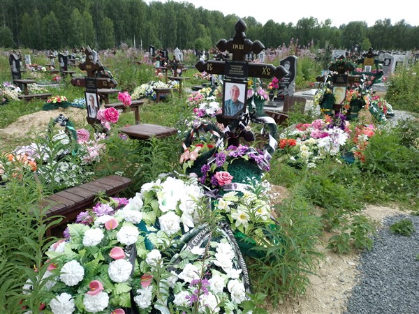 Губанищев Николай Михайлович