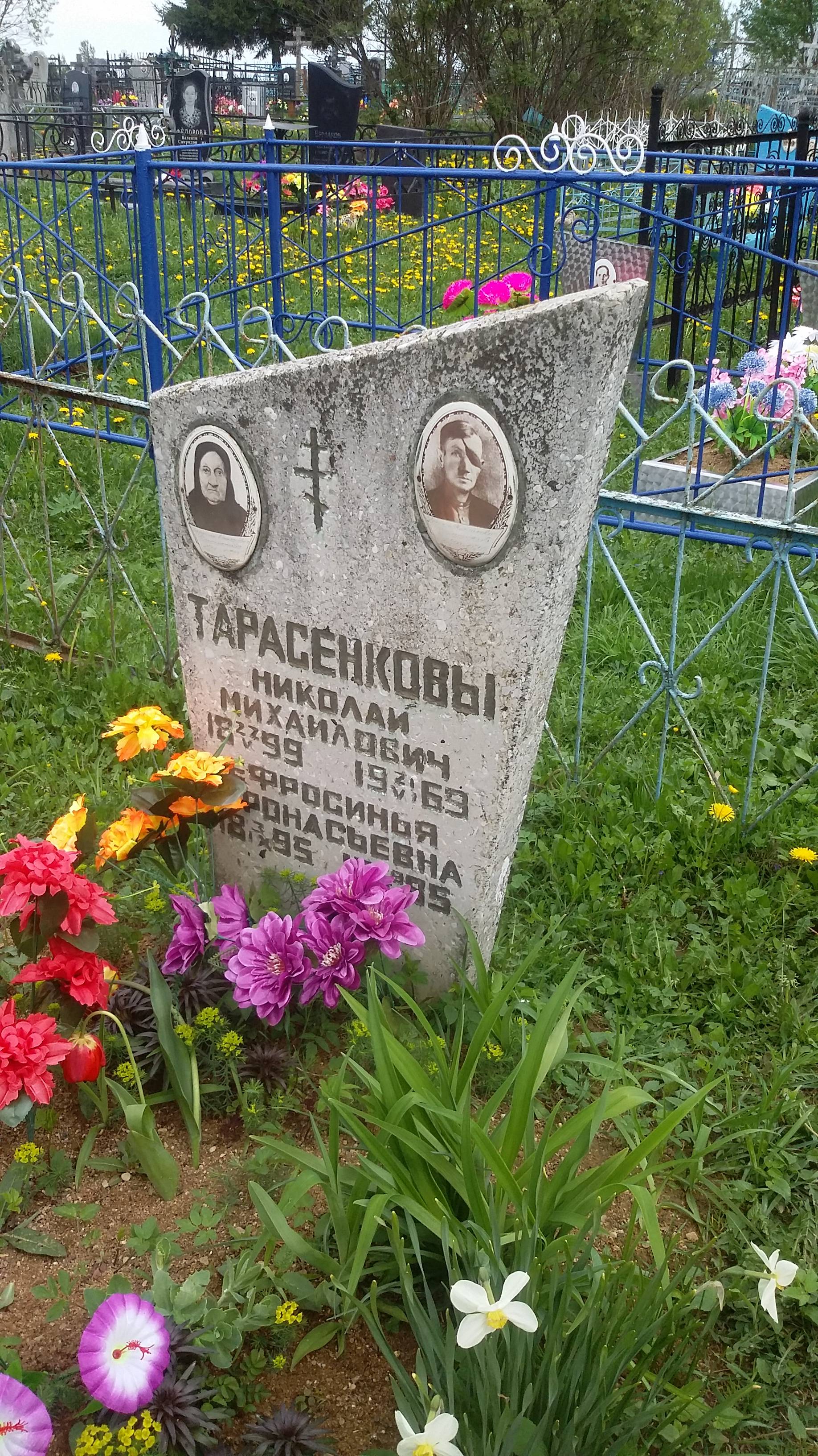 Тарасенков Николай Михайлович