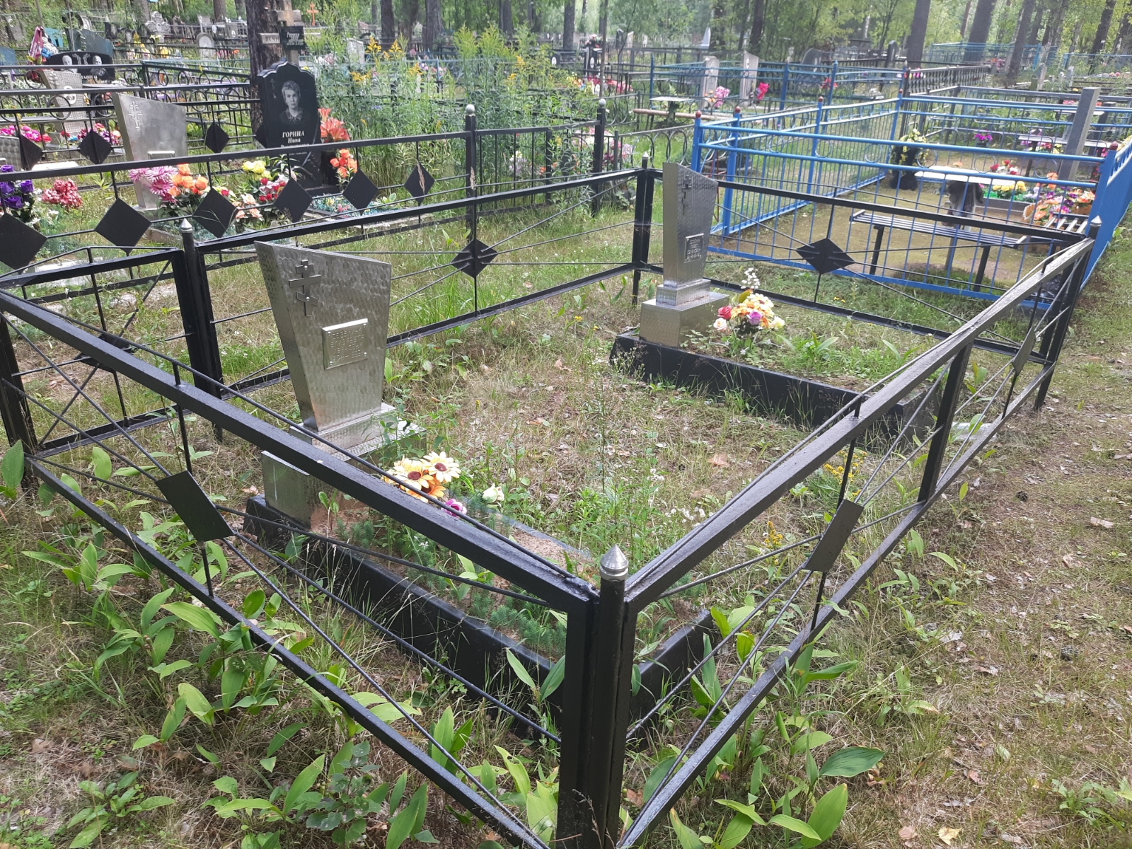 Сезёмина Елизавета Ивановна