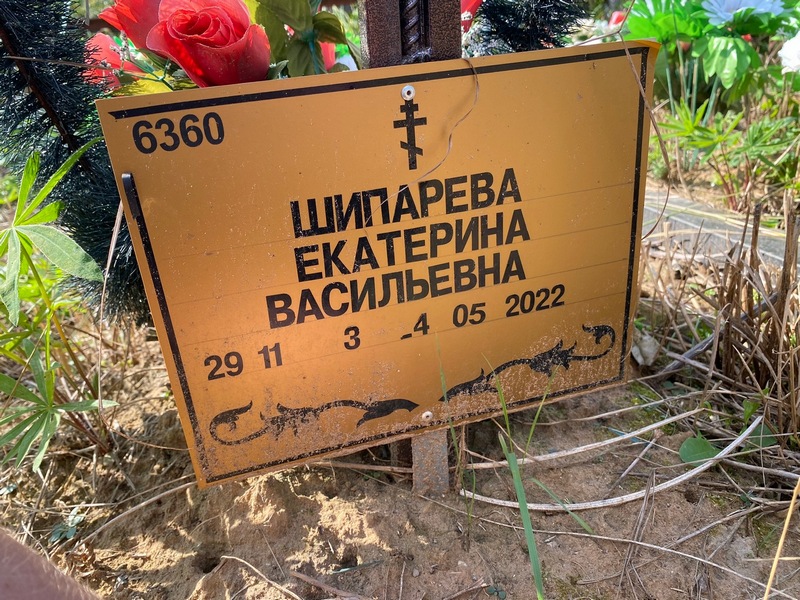 Шипарева