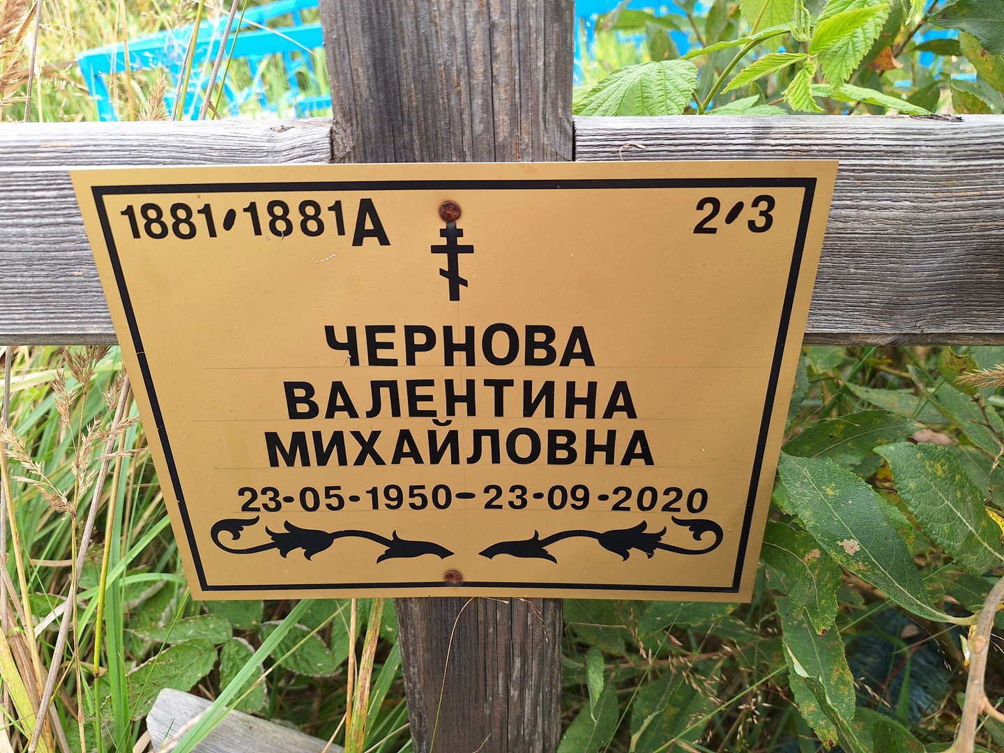 Чернова