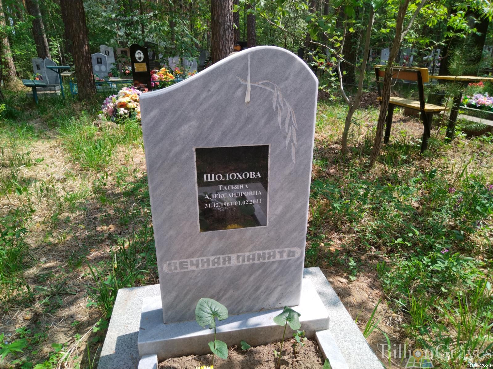 Шолохова Татьяна Александровна