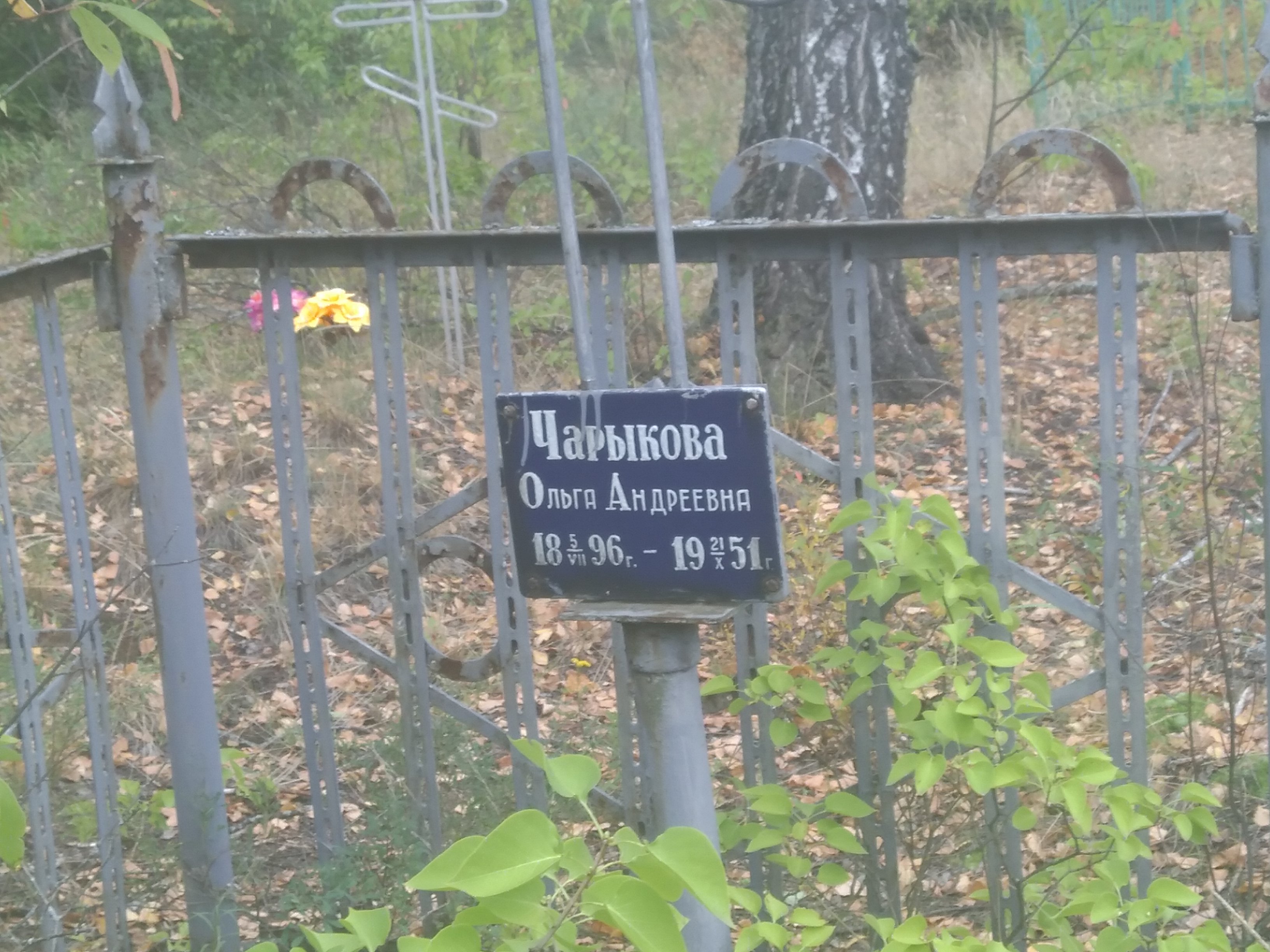 Чарыкова Ольга Андреевна