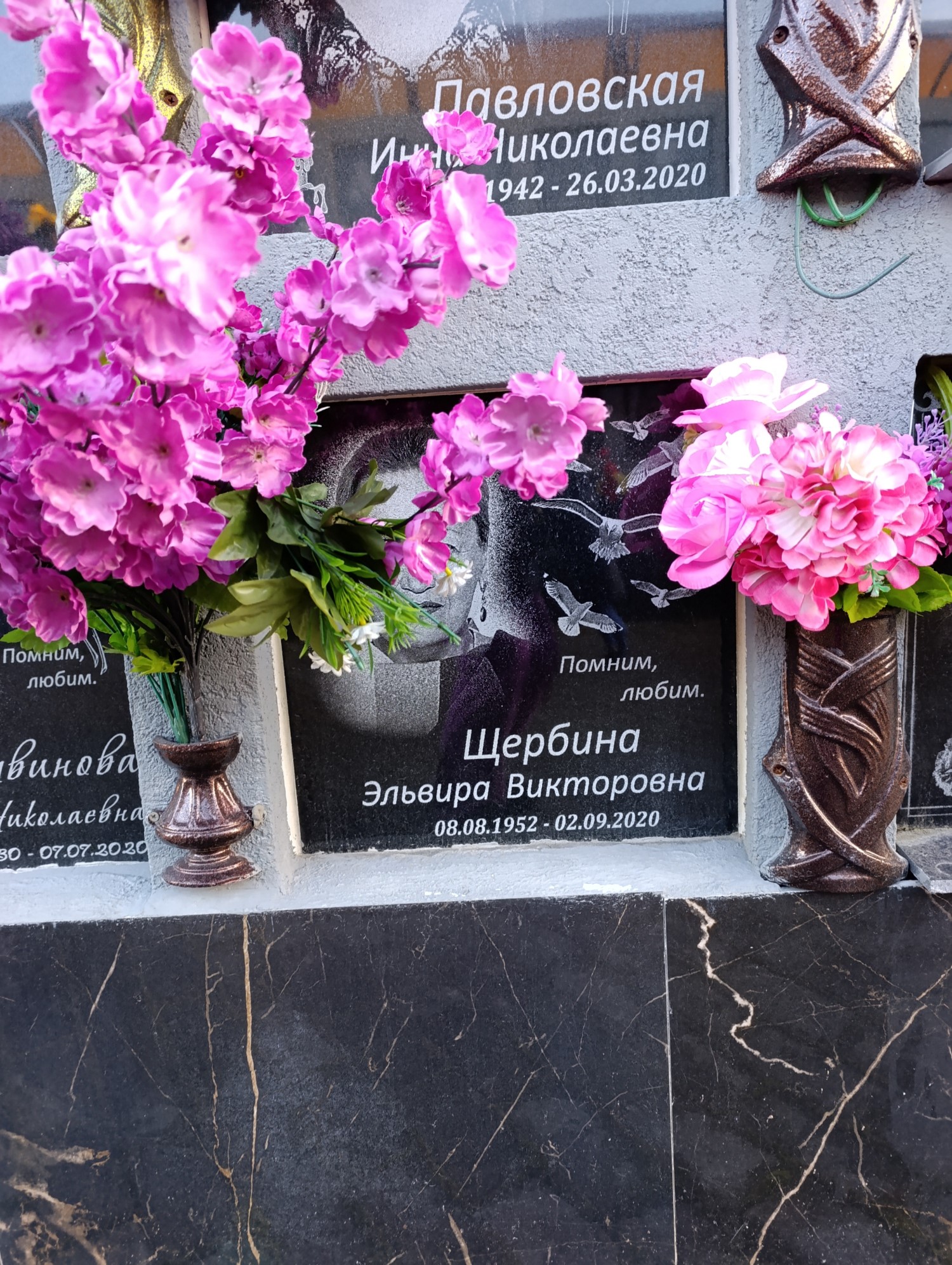 Щербина Эльвира Викторовна