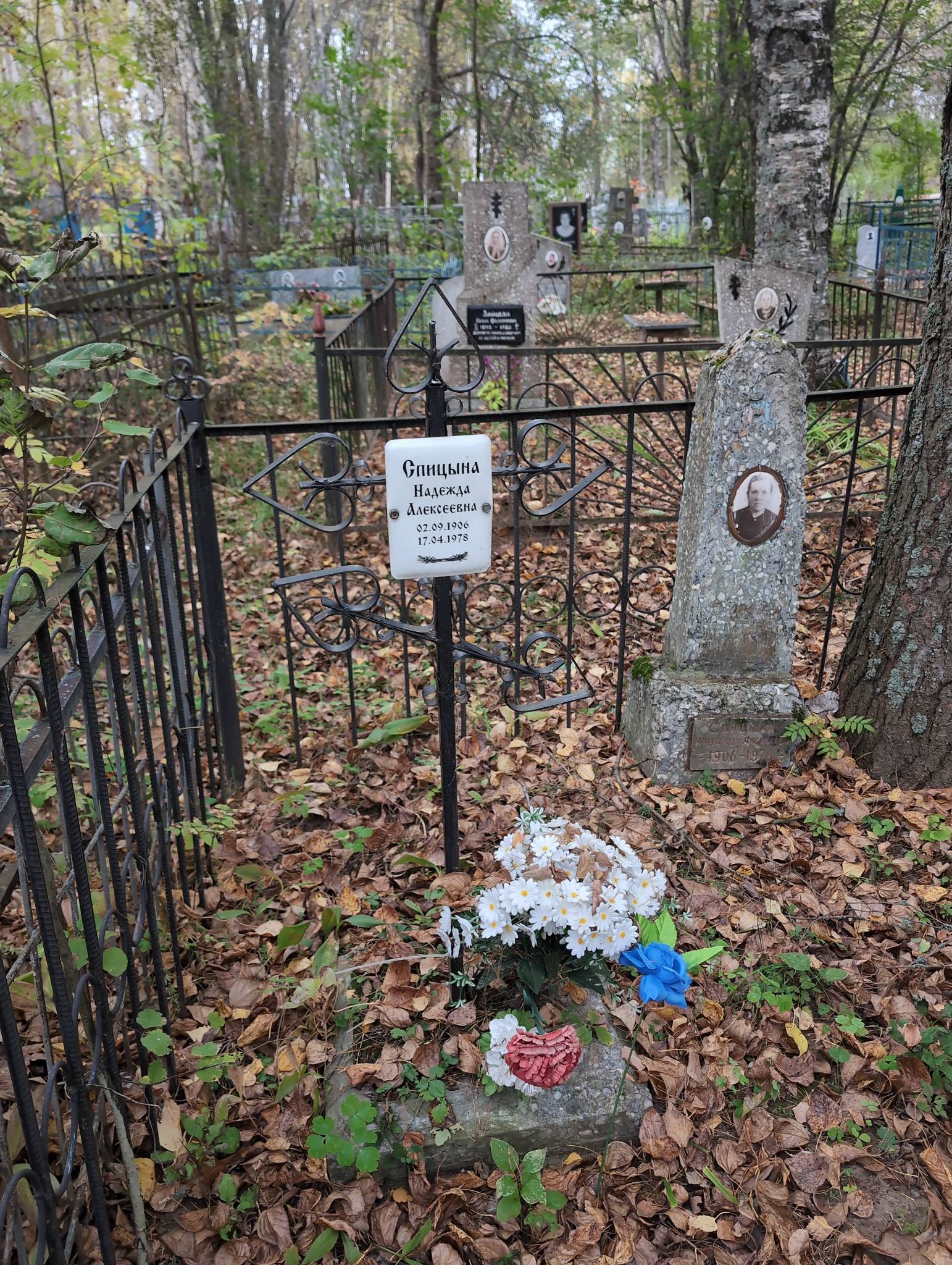 Спицына Надежда Алексеевна
