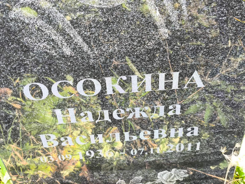 Осокина