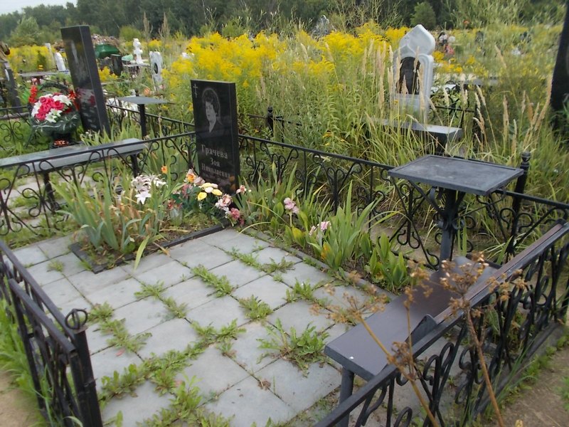 Грачева Зоя Николаевна