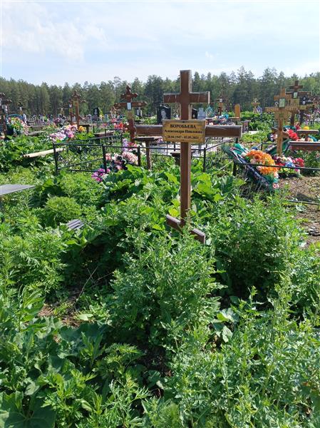 Воробьева Александра Павловна