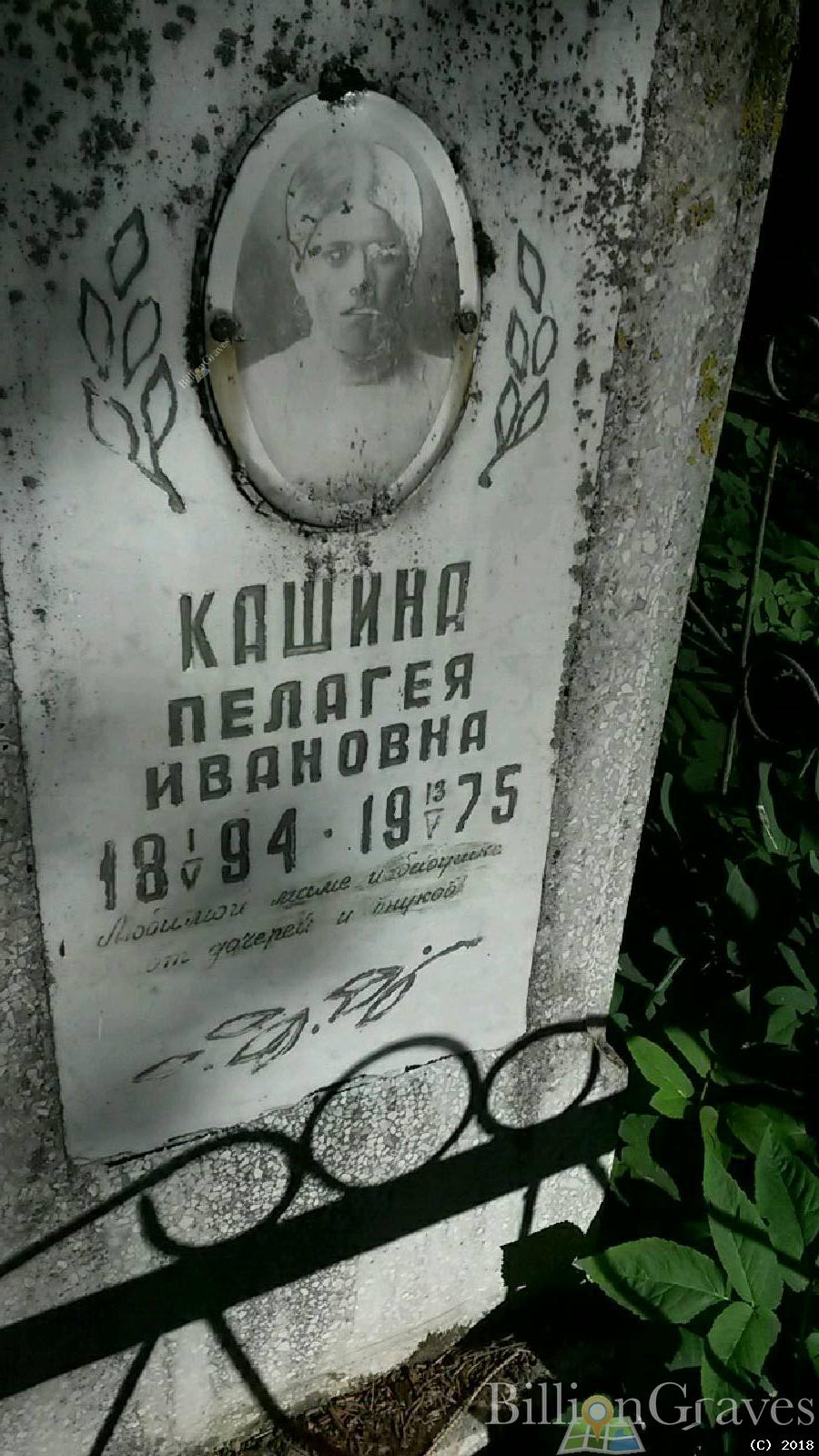 кашина пелагея ивановна