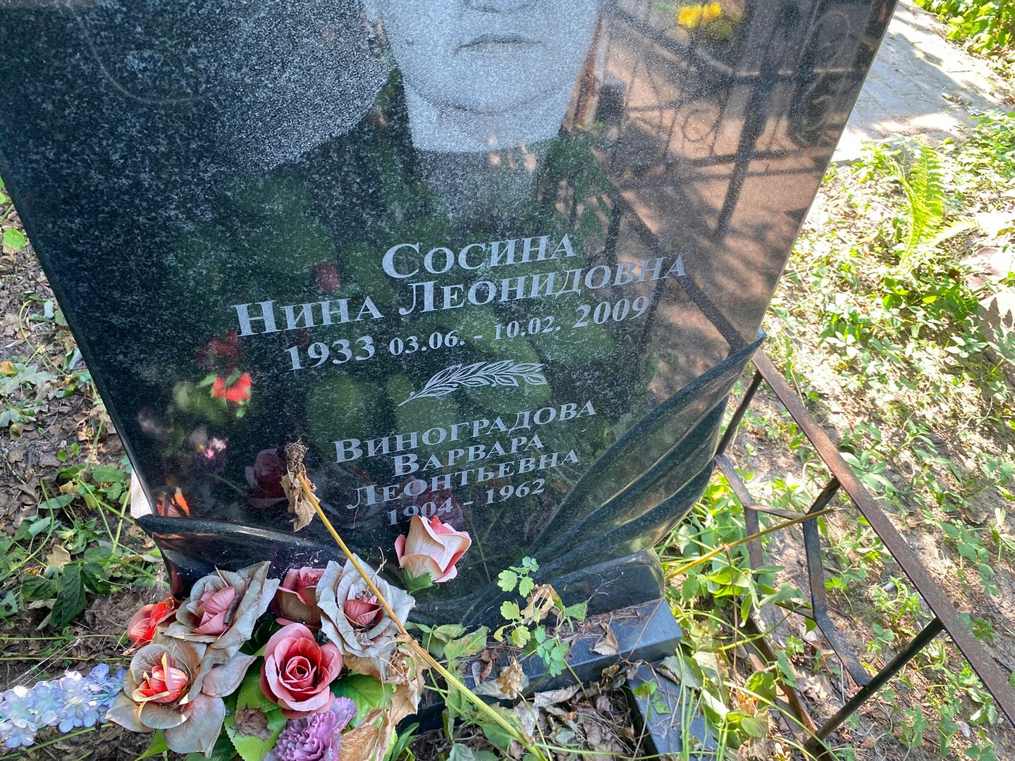 Сосина