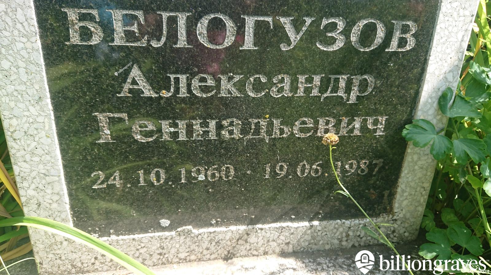 Белогузов Александр Геннадьевич