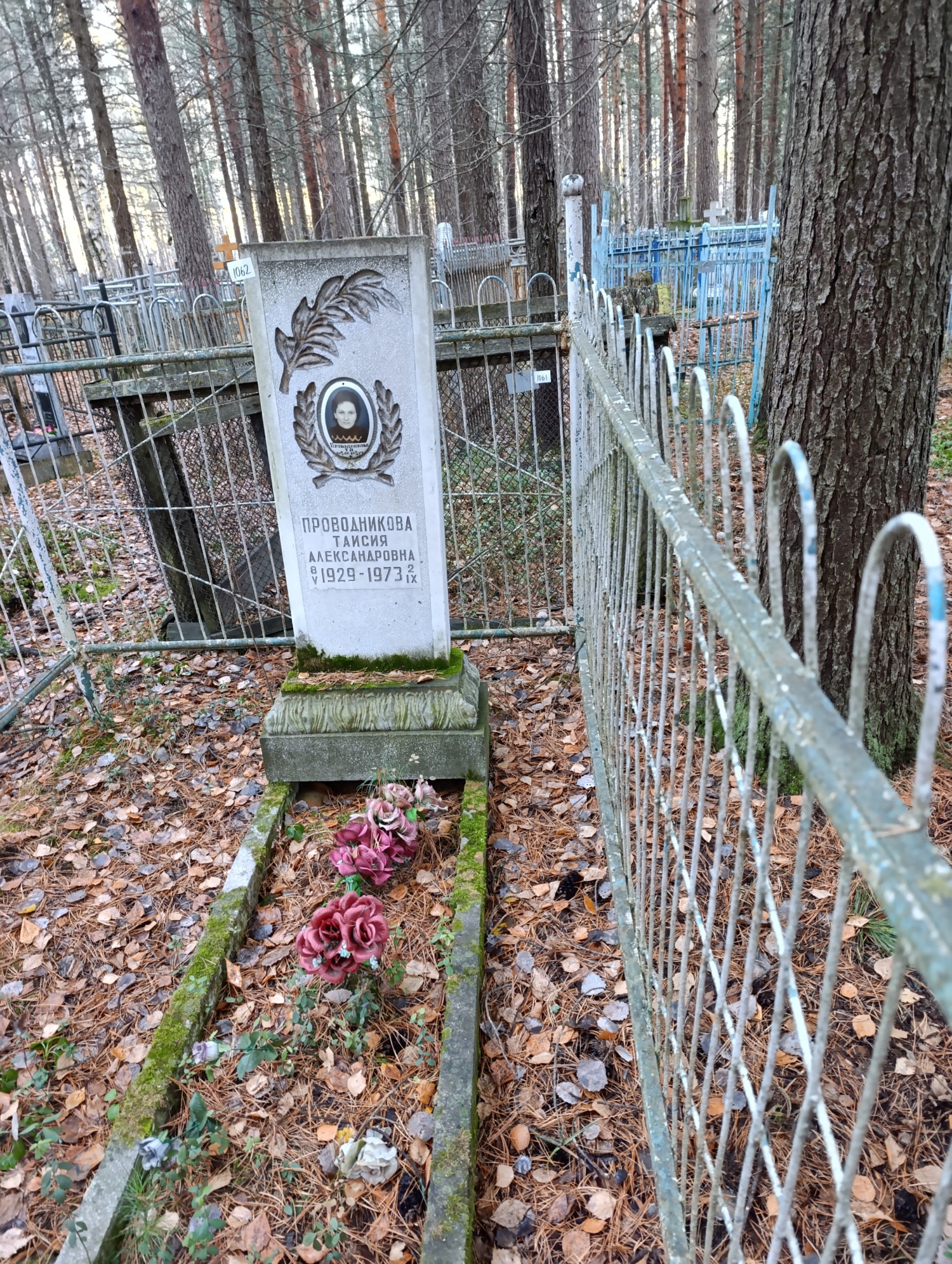 Проводникова Таисия Александровна