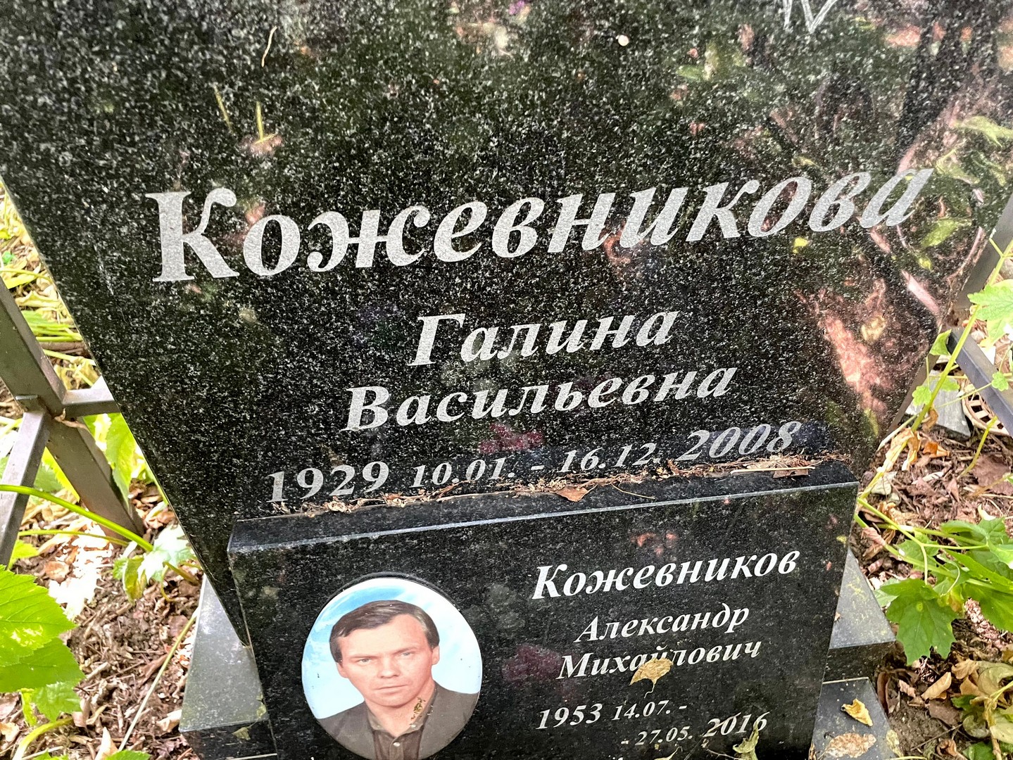 Кожевникова