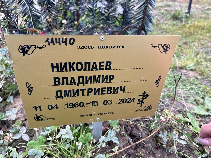 Николаев