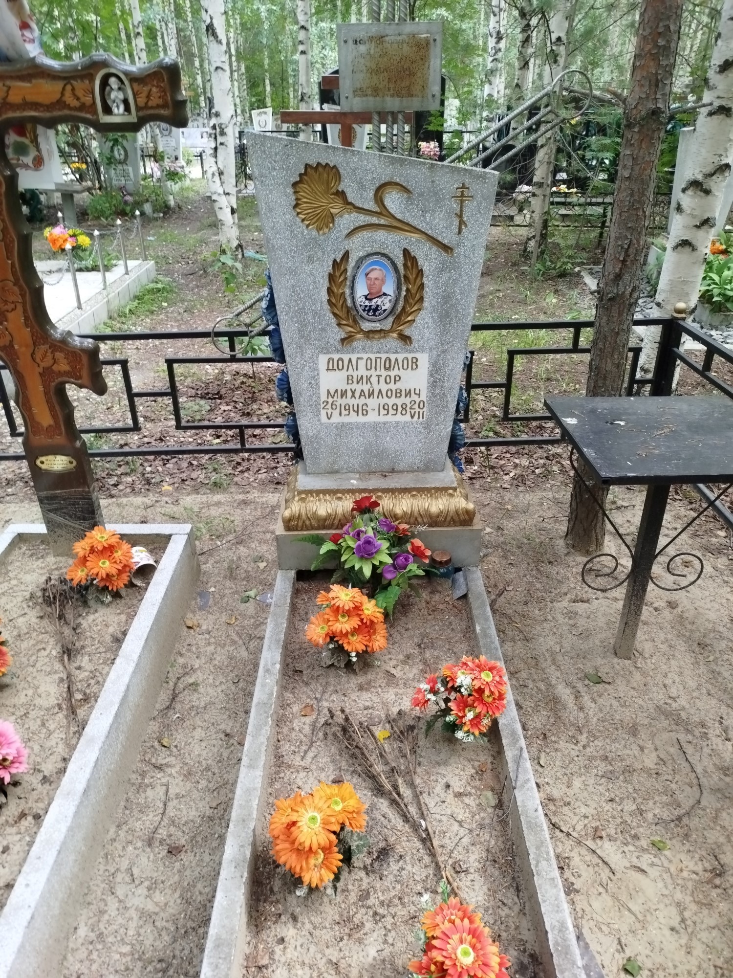 Долгополов Виктор Михайлович