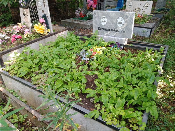 Романенко Ирина Дмитриевна