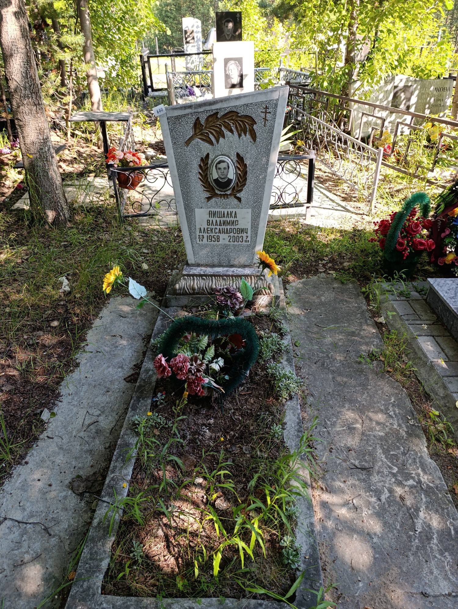 Пищалка Владимир Александрович