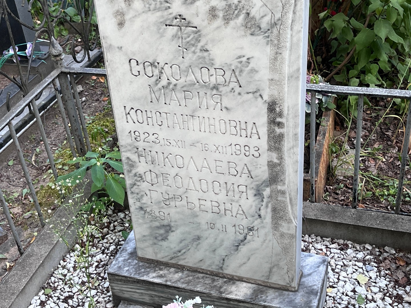 Соколова
