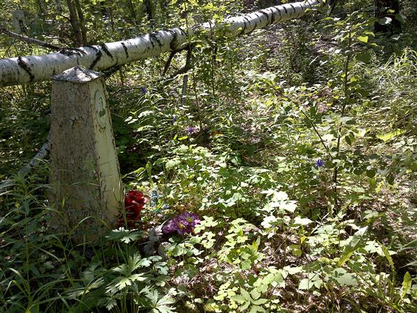 Лыков Григорий Павлович