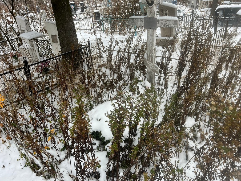 Заблудаева Евгения Изосимовна