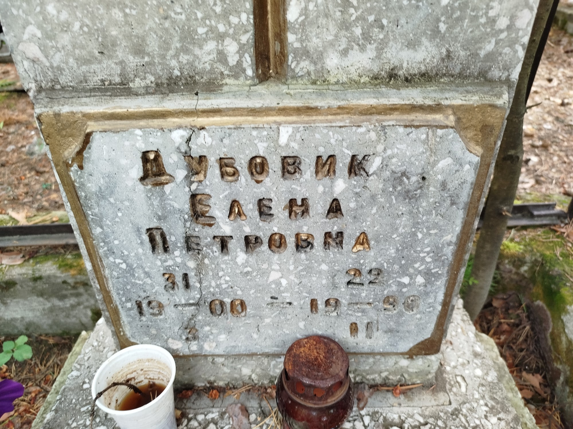 Дубовик Елена Петровна