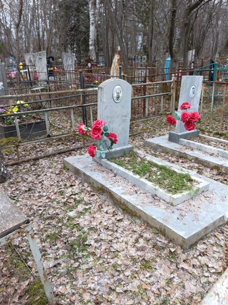 Петреня Михаил Васильевич